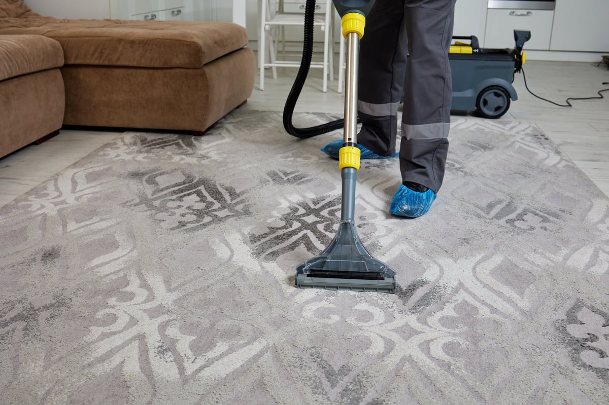 Professional cleaner vacuuming a carpet in a bright living room