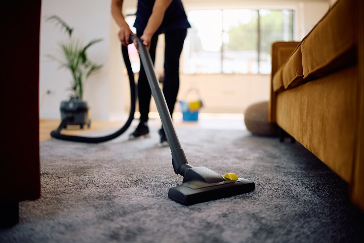 Professional cleaner vacuuming a carpet